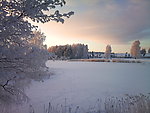 雪景