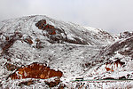 雪山