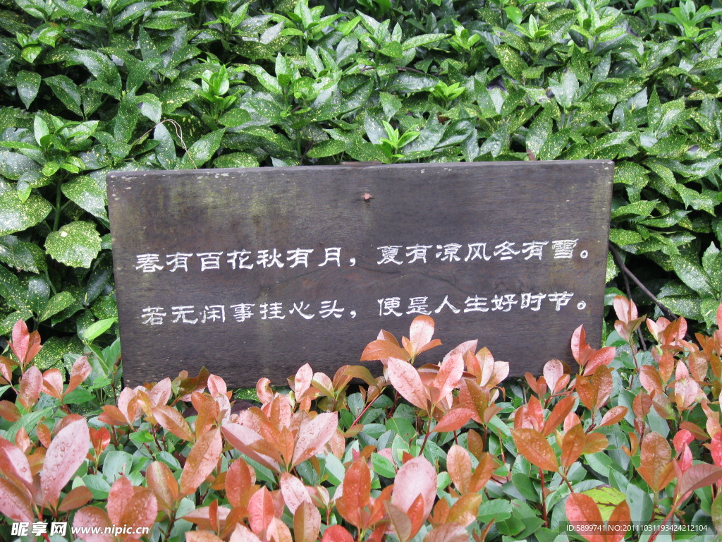 标语