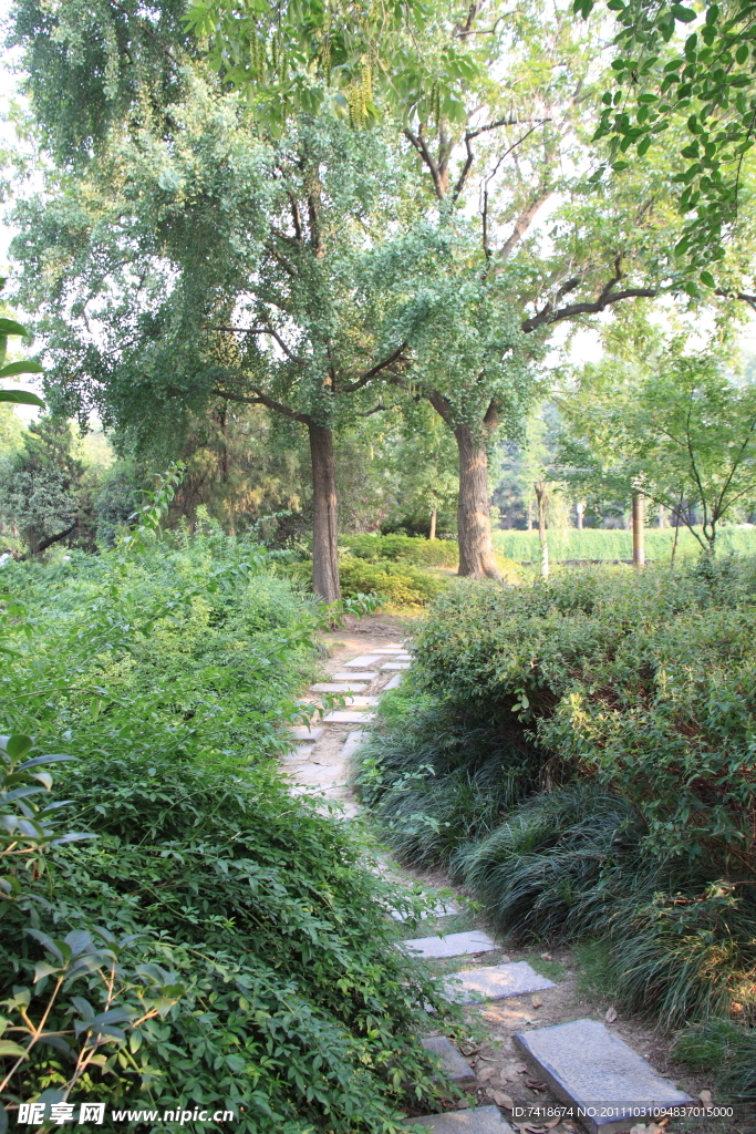 公园小路