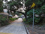 深圳的乡间小路