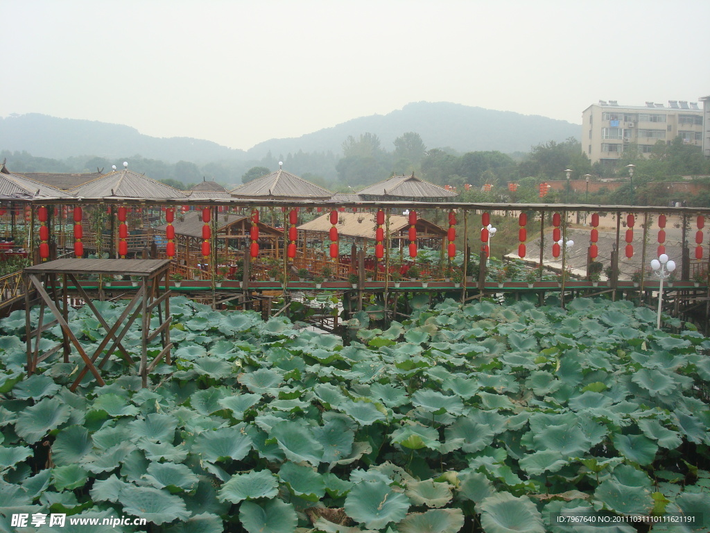 水上农家菜馆