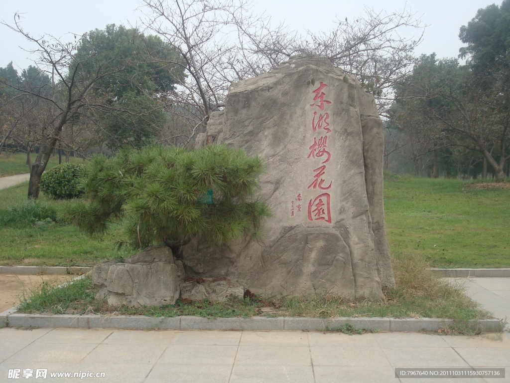 武汉樱花园