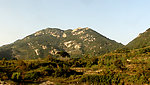 鄂东蕙兰山