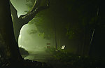 夜晚的长椅