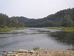 山野 河流 水牛