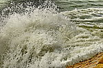 浪花