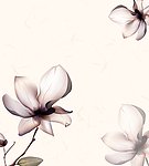 玉兰花移门图