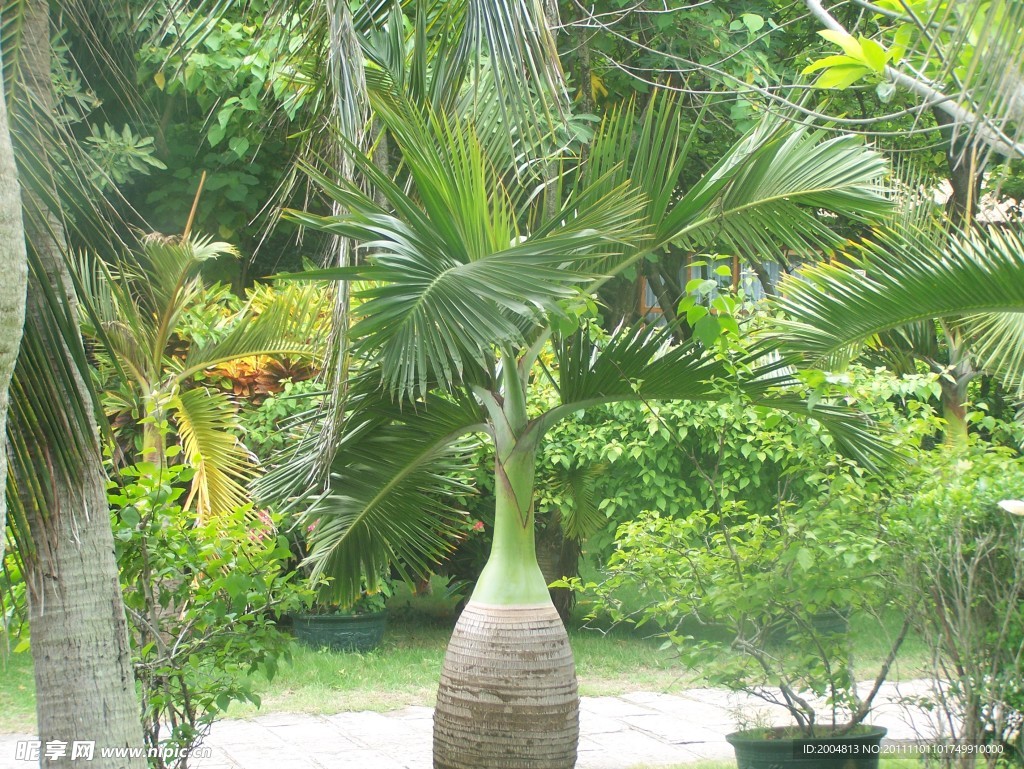 植物园