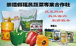 蔬菜合作社门头设计