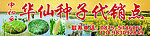 油菜风景 水稻 包谷 鸭子模板