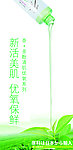 美容美体护肤SPA沙龙