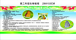 生物板报