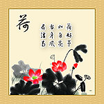 荷花