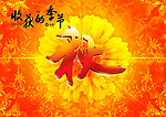 秋吊旗