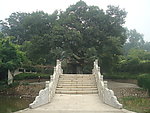石桥