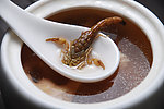 龙凤蝎子汤
