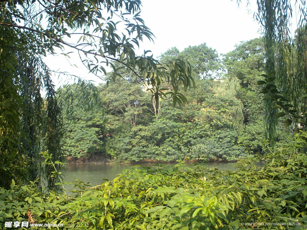 濠河风景