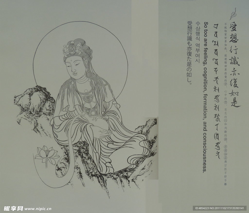 受想行识亦复如是