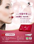 针叶樱桃