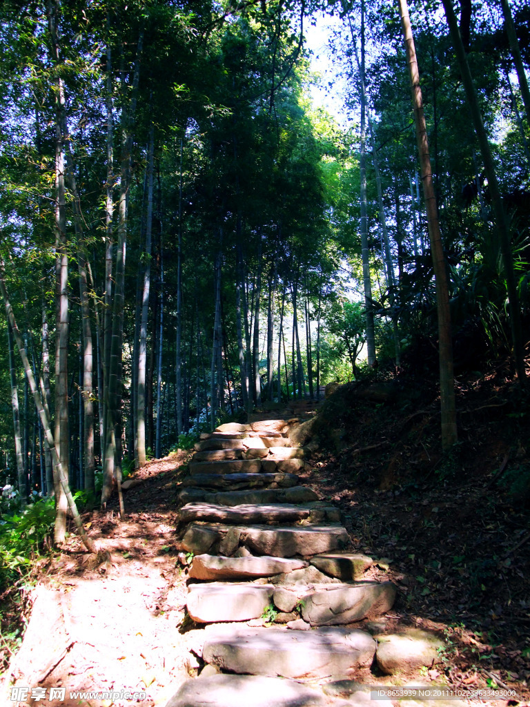 竹海山路