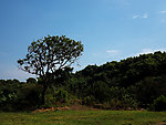 自然风景