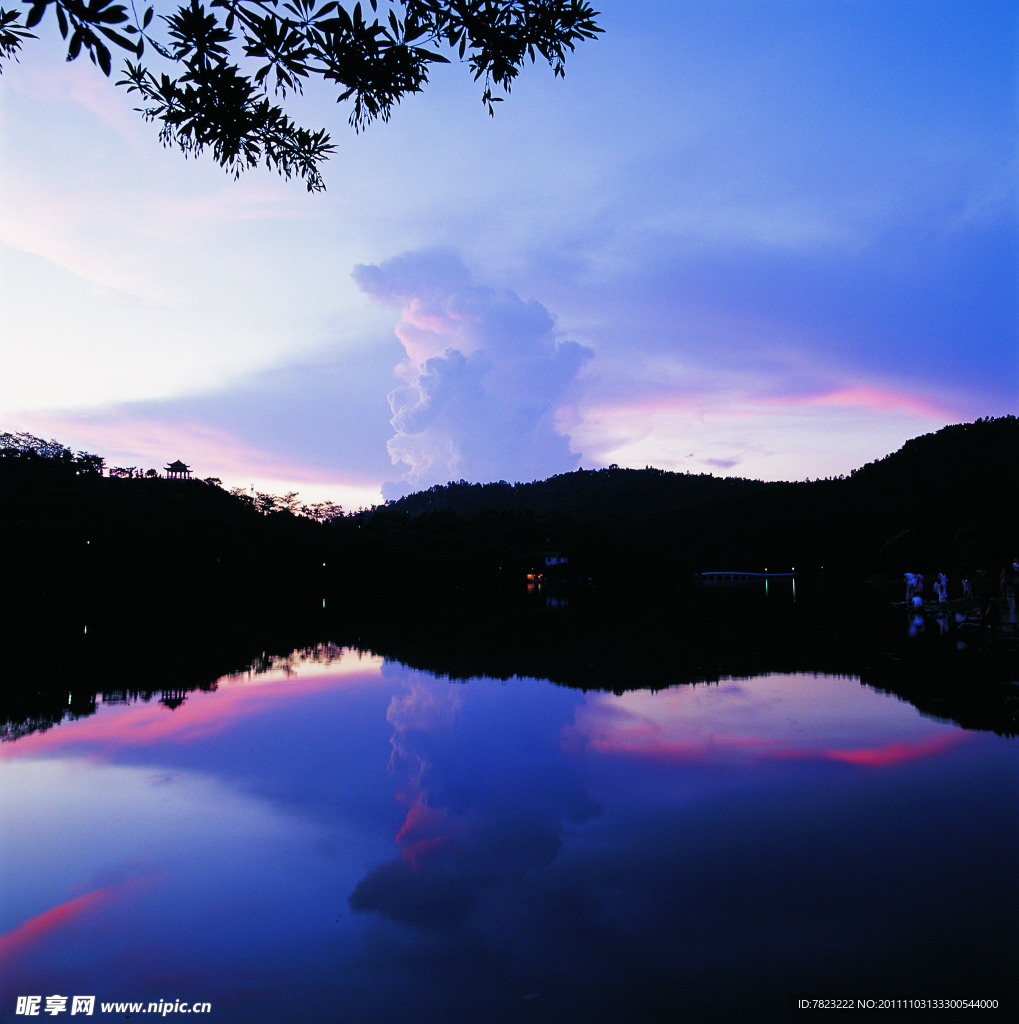 仙湖植物园 晚霞