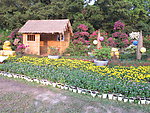 公园草屋