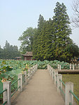 园林景观