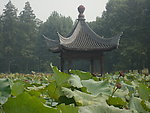 田园风光
