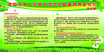 中学健康教育宣传栏