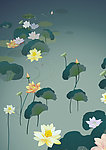 荷花