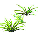 草丛