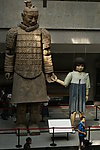 兵马俑和德国女孩
