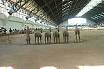 兵马俑