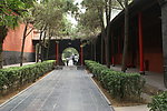 靓丽风景