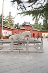 靓丽风景