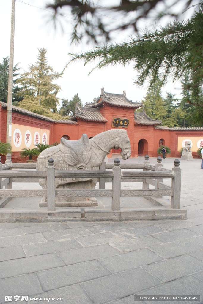 靓丽风景