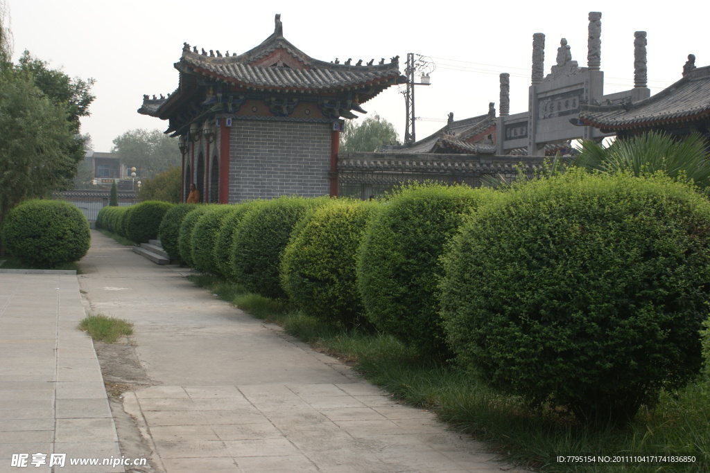 靓丽风景