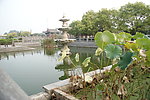 靓丽风景