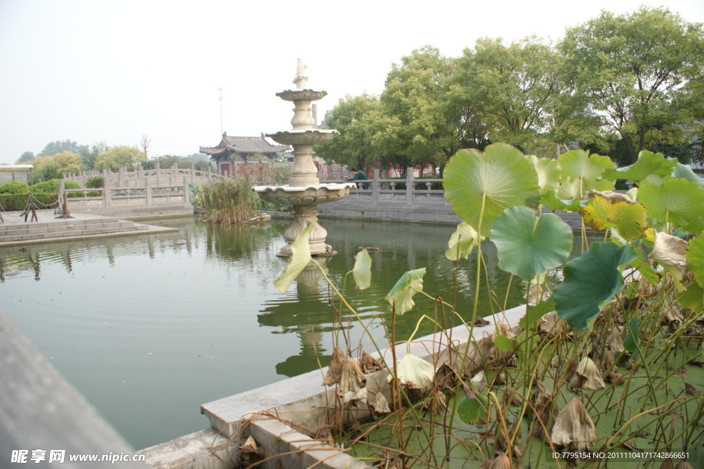 靓丽风景