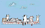 小猫