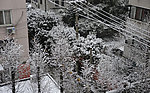下雪天