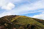 大山