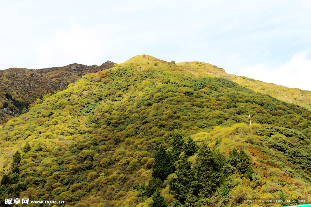 大山