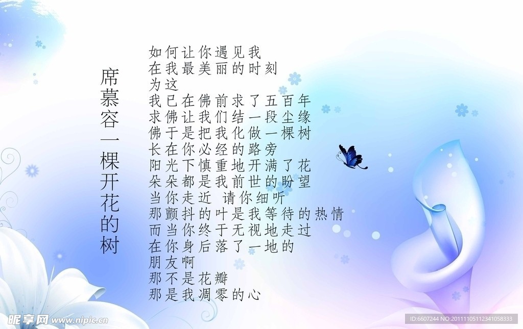 花朵蝴蝶背景素材