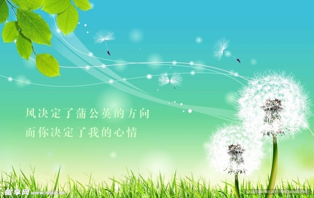 薄公英