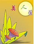 美人蕉