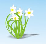 花朵素材