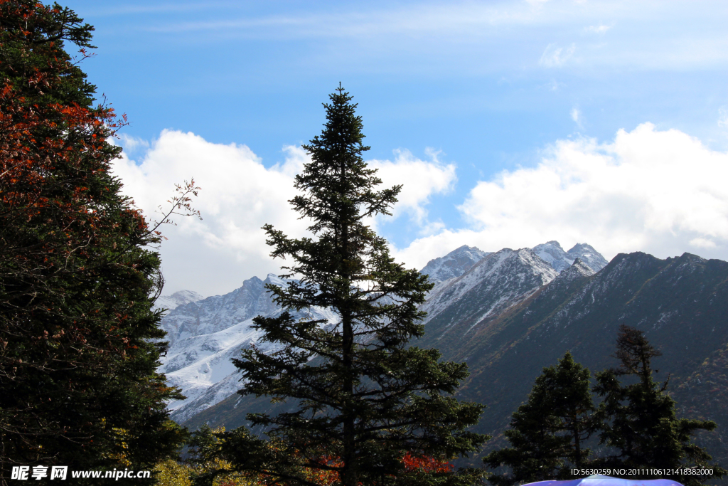 雪山 黄龙风景